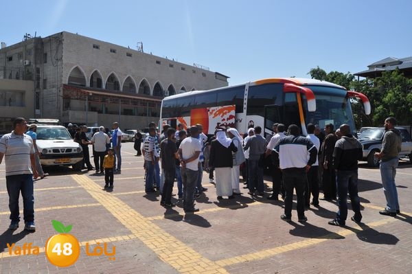 3omrashneer321 (19).JPG